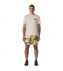 Patagonia Baggies Longs Shorts 7