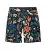 Шорти Patagonia Hydropeak Boardshorts 21